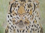 Roman : Tigre(Craies aquarelles)