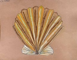  Coquillage(pastel sec)