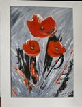 Coquelicots