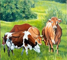 	Vaches(huile)