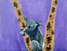 Koala