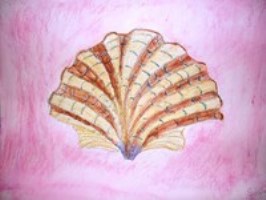 Coquillage(pastel sec